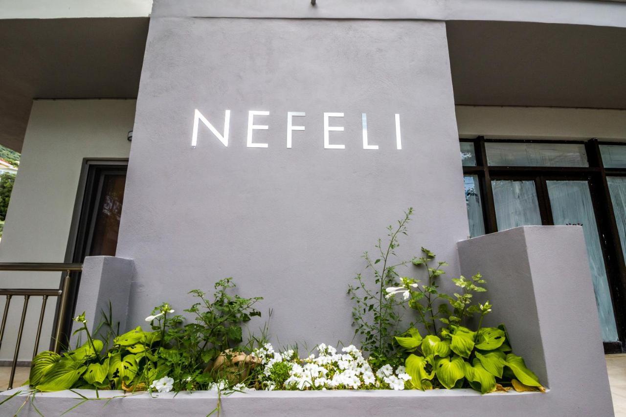 Apartmán Nefeli Vasilikí Exteriér fotografie